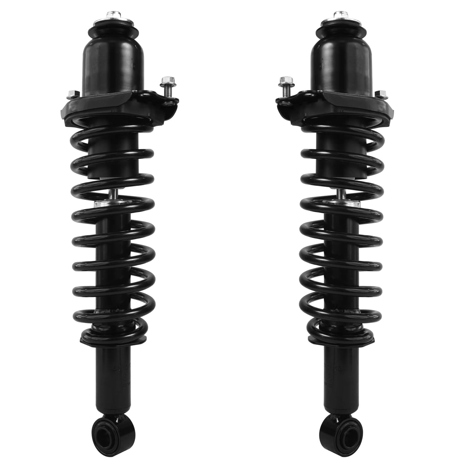 Rear Struts w/Coil Spring (Pair)