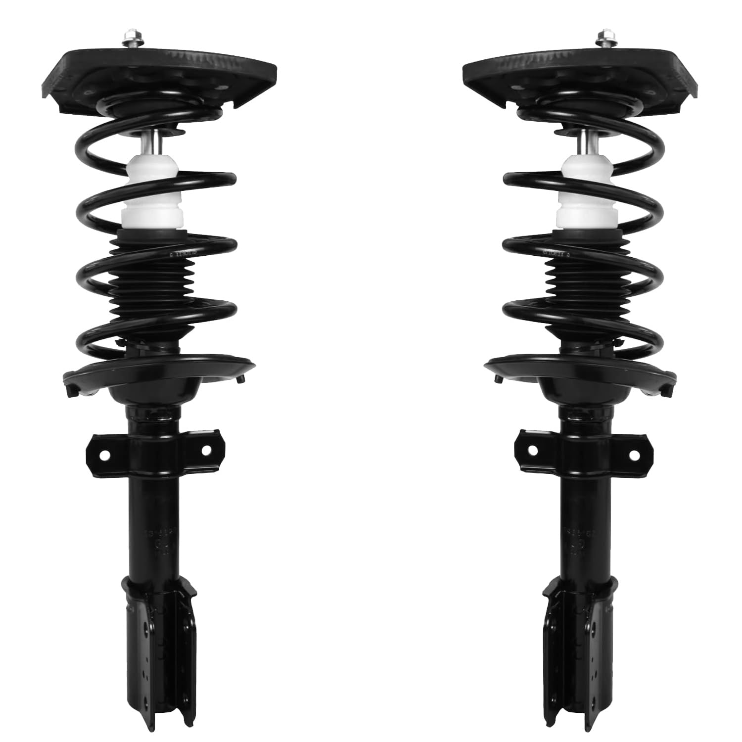 Rear Struts w/Coil Spring (Pair)