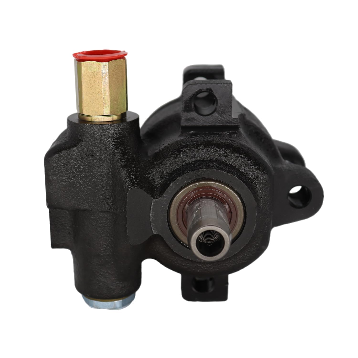 Detroit Axle - Power Steering Pump for 2002 2003 2004 2005-2007 Dodge Ram 1500 - 5