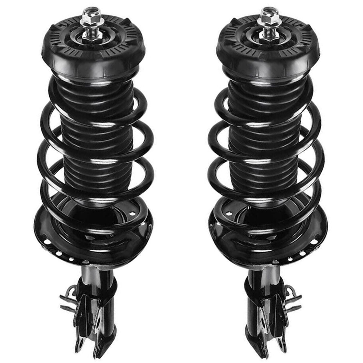 Front Struts w/Coil Spring (Pair)