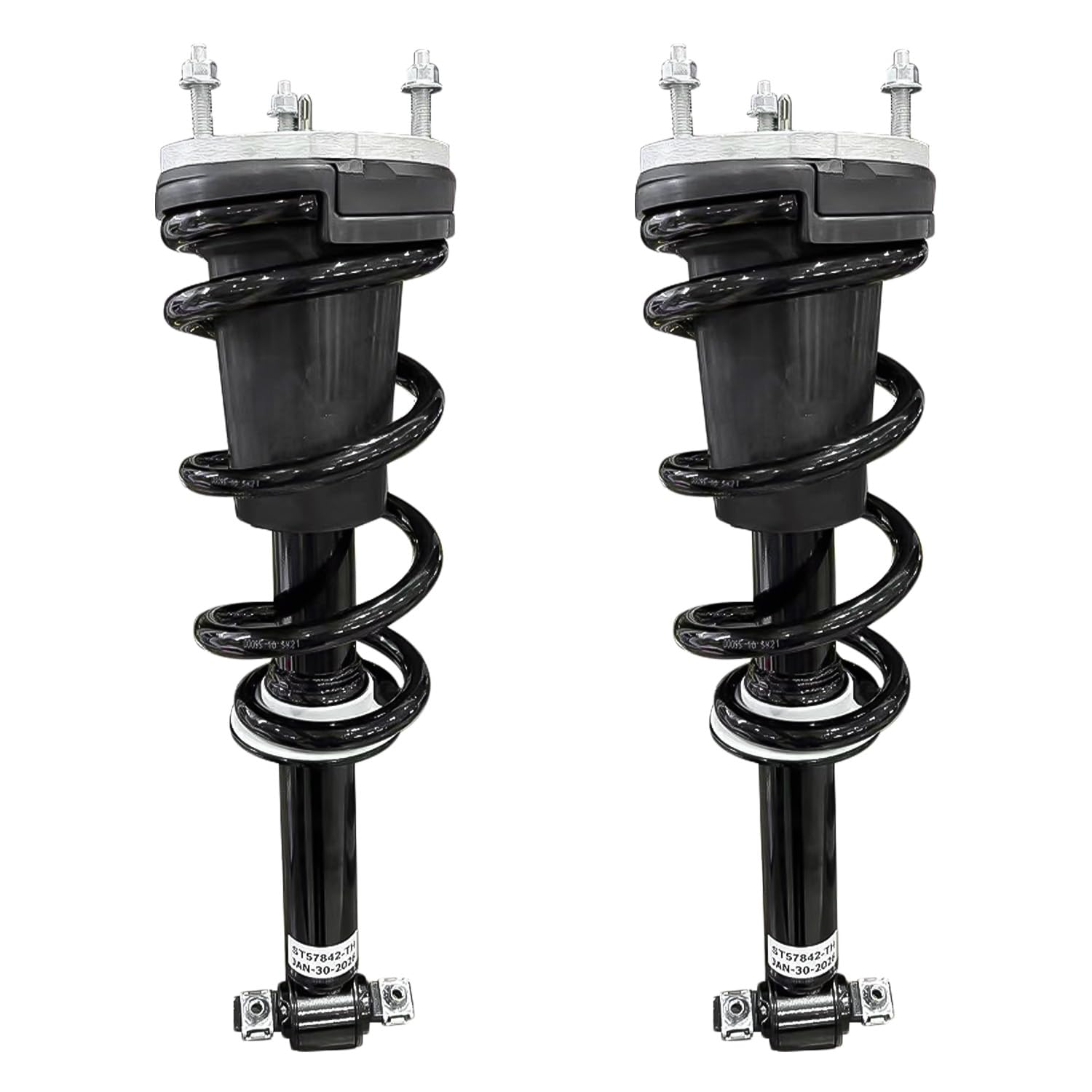 Front Struts w/Coil Spring (Pair)